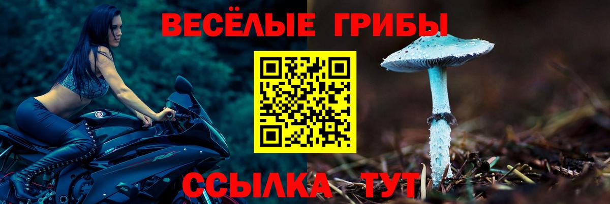 Галлюциногенные грибы прущие грибы Малгобек